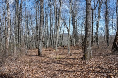 Discover the perfect place to create a mountain retreat in the on Natures Walk At Chinquapin in North Carolina - for sale on GolfHomes.com, golf home, golf lot