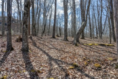 Discover the perfect place to create a mountain retreat in the on Natures Walk At Chinquapin in North Carolina - for sale on GolfHomes.com, golf home, golf lot