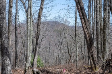 Discover the perfect place to create a mountain retreat in the on Natures Walk At Chinquapin in North Carolina - for sale on GolfHomes.com, golf home, golf lot