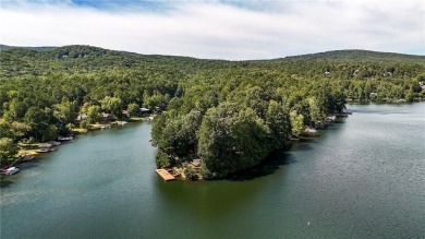 Experience ultimate privacy and breathtaking views from this on The Highlands Course at Lake Arrowhead in Georgia - for sale on GolfHomes.com, golf home, golf lot