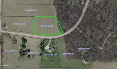 Beautiful 2.15 acre lot with HUGE country and panoramic views on Lake Carroll Golf Course in Illinois - for sale on GolfHomes.com, golf home, golf lot