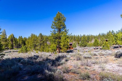 Tucked away on a peaceful cul-de-sac, this exceptional 1-acre on Lahontan Golf Club - Lahontan in California - for sale on GolfHomes.com, golf home, golf lot