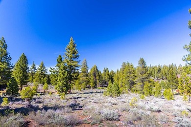 Tucked away on a peaceful cul-de-sac, this exceptional 1-acre on Lahontan Golf Club - Lahontan in California - for sale on GolfHomes.com, golf home, golf lot