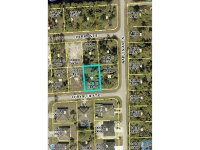 THIS COULD BE THE ONE You've Been Looking for! GREAT Location on Mirror Lakes Golf Club in Florida - for sale on GolfHomes.com, golf home, golf lot