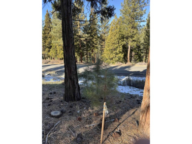 **Experience the Best of Nature and Luxury at Grizzly Ranch!** on Grizzly Ranch Golf Club in California - for sale on GolfHomes.com, golf home, golf lot