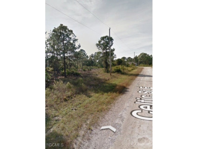 THIS COULD BE THE ONE You've Been Looking for! GREAT Location in on Mirror Lakes Golf Club in Florida - for sale on GolfHomes.com, golf home, golf lot