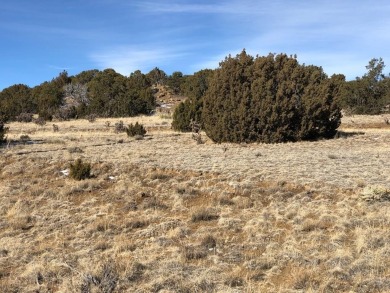 WELCOME TO Southern Colorado and what could be your very own 2+ on Walsenburg Golf Club in Colorado - for sale on GolfHomes.com, golf home, golf lot