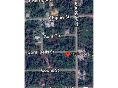 THIS COULD BE THE ONE You've Been Looking for! GREAT Location in on Mirror Lakes Golf Club in Florida - for sale on GolfHomes.com, golf home, golf lot