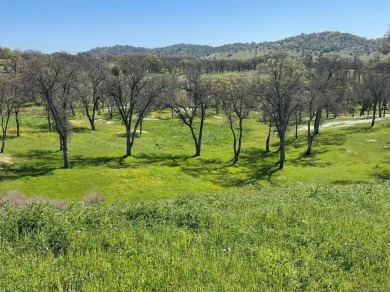 Embrace luxury living on this sprawling 1.443-acre lot nestled on The Club at Copper Valley Golf Course in California - for sale on GolfHomes.com, golf home, golf lot