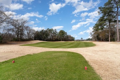 Immaculate 2 Bedroom Fully Furnished Condo in Aberdeen Buck on Aberdeen Golf and Country Club in South Carolina - for sale on GolfHomes.com, golf home, golf lot