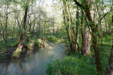 ENGLISH CREEK FRONTAGE within Walking or Golf cart distance to on Smoky Mountain Country Club in Tennessee - for sale on GolfHomes.com, golf home, golf lot