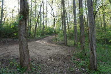 ENGLISH CREEK FRONTAGE within Walking or Golf cart distance to on Smoky Mountain Country Club in Tennessee - for sale on GolfHomes.com, golf home, golf lot