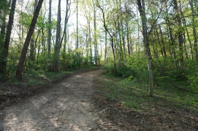 ENGLISH CREEK FRONTAGE within Walking or Golf cart distance to on Smoky Mountain Country Club in Tennessee - for sale on GolfHomes.com, golf home, golf lot