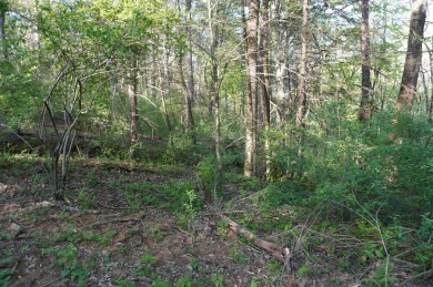 ENGLISH CREEK FRONTAGE within Walking or Golf cart distance to on Smoky Mountain Country Club in Tennessee - for sale on GolfHomes.com, golf home, golf lot