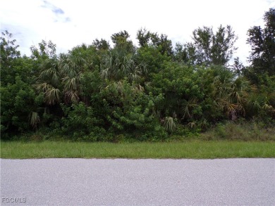 This lot is on a quiet street that would be a great place to on Rotonda Golf and Country Club - Long Marsh  in Florida - for sale on GolfHomes.com, golf home, golf lot