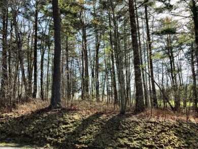 Preferred building lot located on a quiet cul-de-sac facing the on Trillium Links in North Carolina - for sale on GolfHomes.com, golf home, golf lot