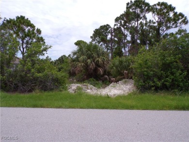 This lot is on a quiet street that would be a great place to on Rotonda Golf and Country Club - Long Marsh  in Florida - for sale on GolfHomes.com, golf home, golf lot