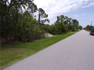 This lot is on a quiet street that would be a great place to on Rotonda Golf and Country Club - Long Marsh  in Florida - for sale on GolfHomes.com, golf home, golf lot