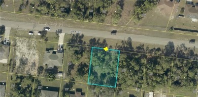 City water available! Your future home awaits on this stunning on Mirror Lakes Golf Club in Florida - for sale on GolfHomes.com, golf home, golf lot
