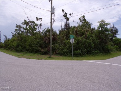 This lot is on a quiet street that would be a great place to on Rotonda Golf and Country Club - Long Marsh  in Florida - for sale on GolfHomes.com, golf home, golf lot