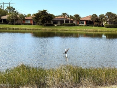 YOU'LL LOVE YOUR LIFE WITH PEACEFUL LAKE VIEWS of BEAUTIFUL on Gateway Golf and Country Club in Florida - for sale on GolfHomes.com, golf home, golf lot