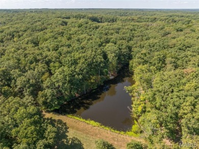 Escape to your own lakeside paradise at this super cute chalet on Innsbrook Resort Golf Course in Missouri - for sale on GolfHomes.com, golf home, golf lot