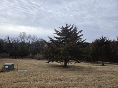 Great buildable lot with gentle slope to the rear of the on Apple Canyon Lake Golf Course in Illinois - for sale on GolfHomes.com, golf home, golf lot