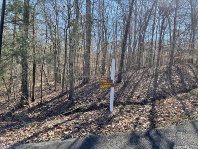 One of the biggest lots in all of the beautiful Diamante on Diamante Golf and Country Club in Arkansas - for sale on GolfHomes.com, golf home, golf lot