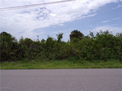 This lot is on a quiet street that would be a great place to on Rotonda Golf and Country Club - Long Marsh  in Florida - for sale on GolfHomes.com, golf home, golf lot