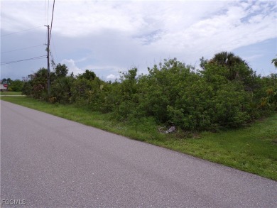 This lot is on a quiet street that would be a great place to on Rotonda Golf and Country Club - Long Marsh  in Florida - for sale on GolfHomes.com, golf home, golf lot