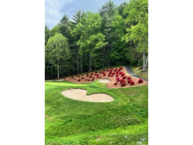 Currently wooded view Lot located in Trillium Ridge covers over on Trillium Links in North Carolina - for sale on GolfHomes.com, golf home, golf lot