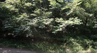 Explore the potential of four scenic lots located on a quiet on Sugar Valley Lakes Golf Course in Kansas - for sale on GolfHomes.com, golf home, golf lot