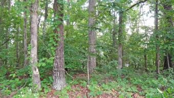 Two wooded building Lots 938 and 940...$14,900 EACH.  Near on Shiloh Falls Golf Club in Tennessee - for sale on GolfHomes.com, golf home, golf lot
