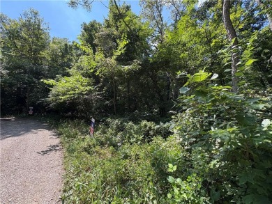 Explore the potential of four scenic lots located on a quiet on Sugar Valley Lakes Golf Course in Kansas - for sale on GolfHomes.com, golf home, golf lot