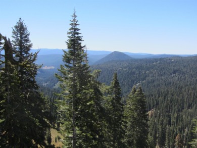 This property is .90 acres sloping towards beautiful Goose bay on Lake Almanor West Golf Course in California - for sale on GolfHomes.com, golf home, golf lot