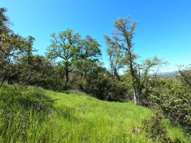 Beautiful lake view property now available in close proximity to on The Club at Copper Valley Golf Course in California - for sale on GolfHomes.com, golf home, golf lot