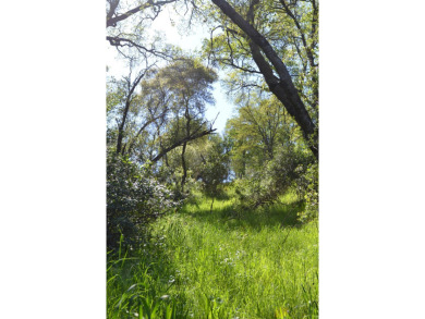 Beautiful lake view property now available in close proximity to on The Club at Copper Valley Golf Course in California - for sale on GolfHomes.com, golf home, golf lot