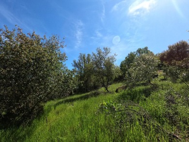 Beautiful lake view property now available in close proximity to on The Club at Copper Valley Golf Course in California - for sale on GolfHomes.com, golf home, golf lot