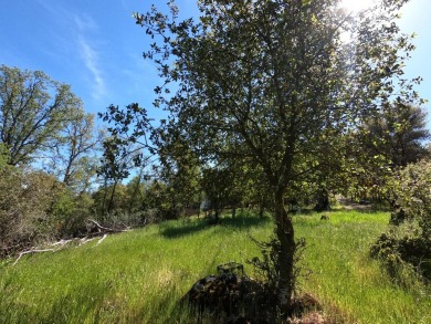 Beautiful lake view property now available in close proximity to on The Club at Copper Valley Golf Course in California - for sale on GolfHomes.com, golf home, golf lot