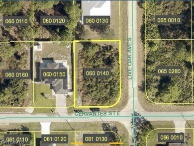 HUGE PRICE REDUCTION - Owner says SELL!!! Best price for a on Mirror Lakes Golf Club in Florida - for sale on GolfHomes.com, golf home, golf lot