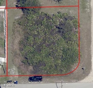 HUGE PRICE REDUCTION - Owner says SELL!!! Best price for a on Mirror Lakes Golf Club in Florida - for sale on GolfHomes.com, golf home, golf lot