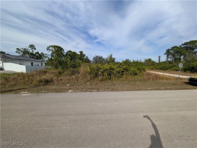 HUGE PRICE REDUCTION - Owner says SELL!!! Best price for a on Mirror Lakes Golf Club in Florida - for sale on GolfHomes.com, golf home, golf lot