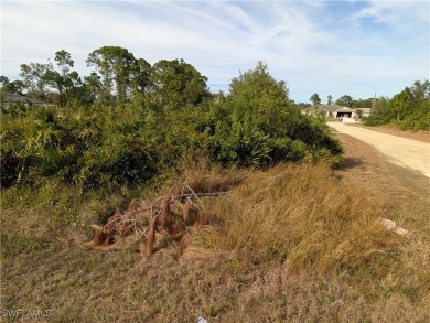 HUGE PRICE REDUCTION - Owner says SELL!!! Best price for a on Mirror Lakes Golf Club in Florida - for sale on GolfHomes.com, golf home, golf lot