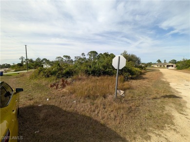 HUGE PRICE REDUCTION - Owner says SELL!!! Best price for a on Mirror Lakes Golf Club in Florida - for sale on GolfHomes.com, golf home, golf lot