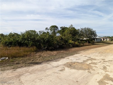 HUGE PRICE REDUCTION - Owner says SELL!!! Best price for a on Mirror Lakes Golf Club in Florida - for sale on GolfHomes.com, golf home, golf lot