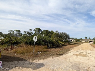 HUGE PRICE REDUCTION - Owner says SELL!!! Best price for a on Mirror Lakes Golf Club in Florida - for sale on GolfHomes.com, golf home, golf lot