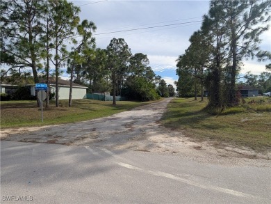 HUGE PRICE REDUCTION - Owner says SELL!!! Best price for a on Mirror Lakes Golf Club in Florida - for sale on GolfHomes.com, golf home, golf lot