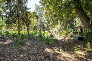 Bring your dream home to life on this 0.31-acre marsh front on The Sanctuary Golf Club At Cat Island in South Carolina - for sale on GolfHomes.com, golf home, golf lot