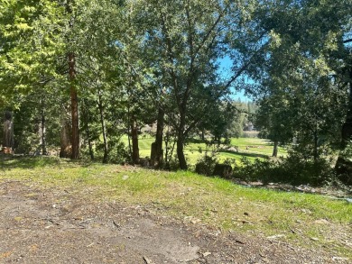 Gorgeous almost 6 acre parcel in the private gated community of on Forest Meadows Golf Course in California - for sale on GolfHomes.com, golf home, golf lot