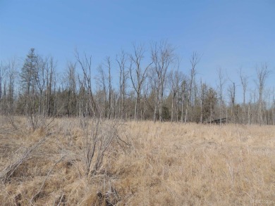Make this undeveloped 5.65 wooded acres with 444' of water on Nahma Club in Michigan - for sale on GolfHomes.com, golf home, golf lot